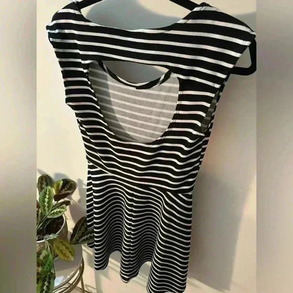 REBEL  SUGAR dress - Picture 3 of 4